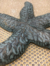Load image into Gallery viewer, Cast Iron Patina Starfish Wall Decor - Home Decor - Cast Iron - Castiron - Beach House - Star Fish - Nautical Decor - Wedding Gift - Gift