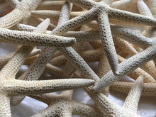 Load image into Gallery viewer, Pencil Starfish 4"-6” White Finger Starfish - Craft Supplies - Beach Decor - Beach Wedding Decor/Favor - White Starfish - FREE SHIPPING!