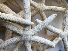 Load image into Gallery viewer, Pencil Starfish 4"-6” White Finger Starfish - Craft Supplies - Beach Decor - Beach Wedding Decor/Favor - White Starfish - FREE SHIPPING!