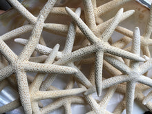 Load image into Gallery viewer, Pencil Starfish 4"-6” White Finger Starfish - Craft Supplies - Beach Decor - Beach Wedding Decor/Favor - White Starfish - FREE SHIPPING!