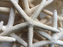 Load image into Gallery viewer, Pencil Starfish 4"-6” White Finger Starfish - Craft Supplies - Beach Decor - Beach Wedding Decor/Favor - White Starfish - FREE SHIPPING!