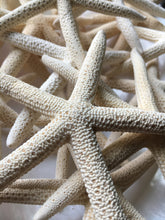 Load image into Gallery viewer, Pencil Starfish 4"-6” White Finger Starfish - Craft Supplies - Beach Decor - Beach Wedding Decor/Favor - White Starfish - FREE SHIPPING!