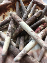 Load image into Gallery viewer, Sea Urchin Spines - Spine - Urchins - Crafts - Crafting Supplies - Decor - Sea Urchin - Sea Shell - Spines - Urchin Spines - FREE SHIPPING!