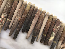 Load image into Gallery viewer, Sea Urchin Spines - Spine - Urchins - Crafts - Crafting Supplies - Decor - Sea Urchin - Sea Shell - Spines - Urchin Spines - FREE SHIPPING!