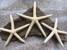Load image into Gallery viewer, Pencil Starfish 4"-6” White Finger Starfish - Craft Supplies - Beach Decor - Beach Wedding Decor/Favor - White Starfish - FREE SHIPPING!