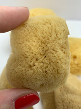 Load image into Gallery viewer, Sea Silk Sponge - Facial Sponge - Natural Sea Silk Sponge -Cosmetic Natural Sea Sponge - Face Care - Beauty Supply - Exfoliating