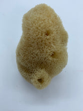 Load image into Gallery viewer, Sea Silk Sponge - Facial Sponge - Natural Sea Silk Sponge -Cosmetic Natural Sea Sponge - Face Care - Beauty Supply - Exfoliating