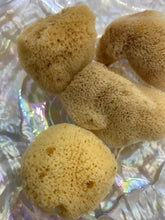Load image into Gallery viewer, Sea Silk Sponge - Facial Sponge - Natural Sea Silk Sponge -Cosmetic Natural Sea Sponge - Face Care - Beauty Supply - Exfoliating