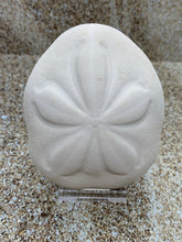 Load image into Gallery viewer, Plastic Easel - Stands for Sea Shells - Stand for Sand Dollars, Starfish, Abalone, Scallops, Mineral Slices - FREE SHIPPING!