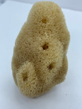 Load image into Gallery viewer, Sea Silk Sponge - Facial Sponge - Natural Sea Silk Sponge -Cosmetic Natural Sea Sponge - Face Care - Beauty Supply - Exfoliating