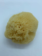 Load image into Gallery viewer, Sea Silk Sponge - Facial Sponge - Natural Sea Silk Sponge -Cosmetic Natural Sea Sponge - Face Care - Beauty Supply - Exfoliating