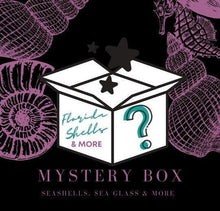 Load image into Gallery viewer, Mystery Box, Various Sea Shells Aligned Personalized box, Mix of Natural pieces 1/2 lb Sea Items-Sea Shells Sea Glass, Starfish, Sandollar