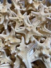Load image into Gallery viewer, Small Knobby Starfish White 1"-2" - Bulk Starfish - Beach Wedding Decor - Seashell Crafts - Seashells - Starfish Decor - FREE SHIPPING!