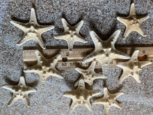 Load image into Gallery viewer, Small Knobby Starfish White 1"-2" - Bulk Starfish - Beach Wedding Decor - Seashell Crafts - Seashells - Starfish Decor - FREE SHIPPING!