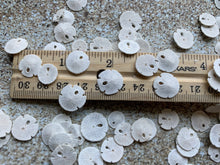Load image into Gallery viewer, Tiny Sand Dollars 1/4 - 1/2"- Sand Dollar - Craft Supply - Beach Wedding Favors - Wedding Decor - Bulk - Seashell - Gift