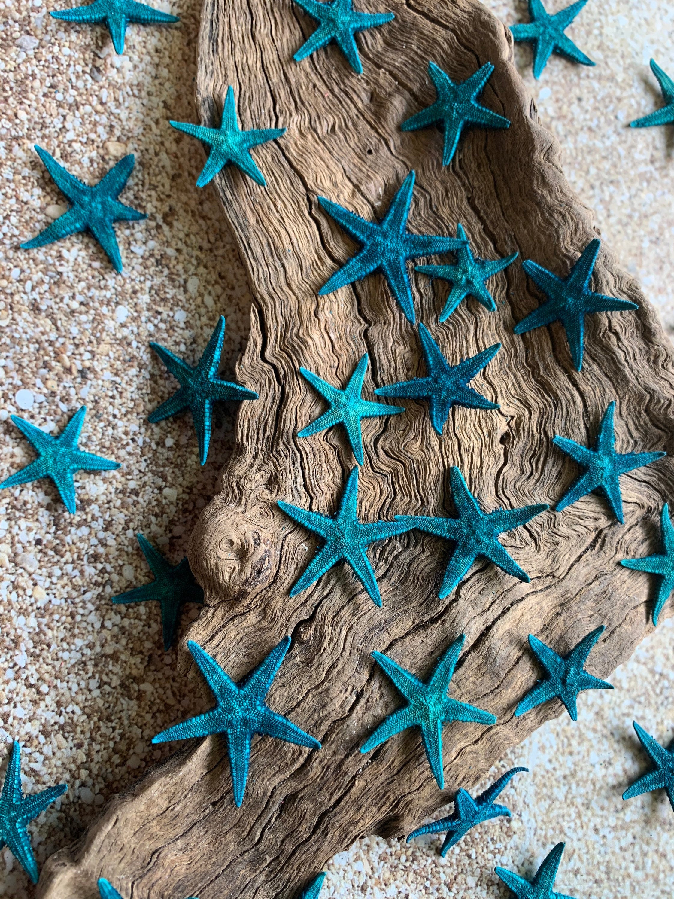 Blue Tiny Starfish .75-1 - Starfish - Craft Supplies - Beach