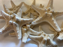 Load image into Gallery viewer, Small Knobby Starfish White 1"-2" - Bulk Starfish - Beach Wedding Decor - Seashell Crafts - Seashells - Starfish Decor - FREE SHIPPING!