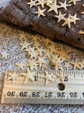 Load image into Gallery viewer, Tiny Starfish 1/2&quot;-3/4&quot;- Star Fish - Craft Supply - Beach Wedding Favors - Wedding Decor - Bulk - Seashell - Gift - Crafting
