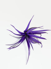 Load image into Gallery viewer, Purple Tillandsia Capitata Air Plant, Ionantha Air Plant, Air Plants, Beach Wedding Decor, Wedding Favor, Tillandsia, Terrarium