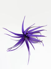 Load image into Gallery viewer, Purple Tillandsia Capitata Air Plant, Ionantha Air Plant, Air Plants, Beach Wedding Decor, Wedding Favor, Tillandsia, Terrarium