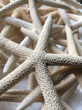 Load image into Gallery viewer, Pencil Starfish 4&quot;-6” White Finger Starfish - Craft Supplies - Beach Decor - Beach Wedding Decor/Favor - White Starfish - FREE SHIPPING!
