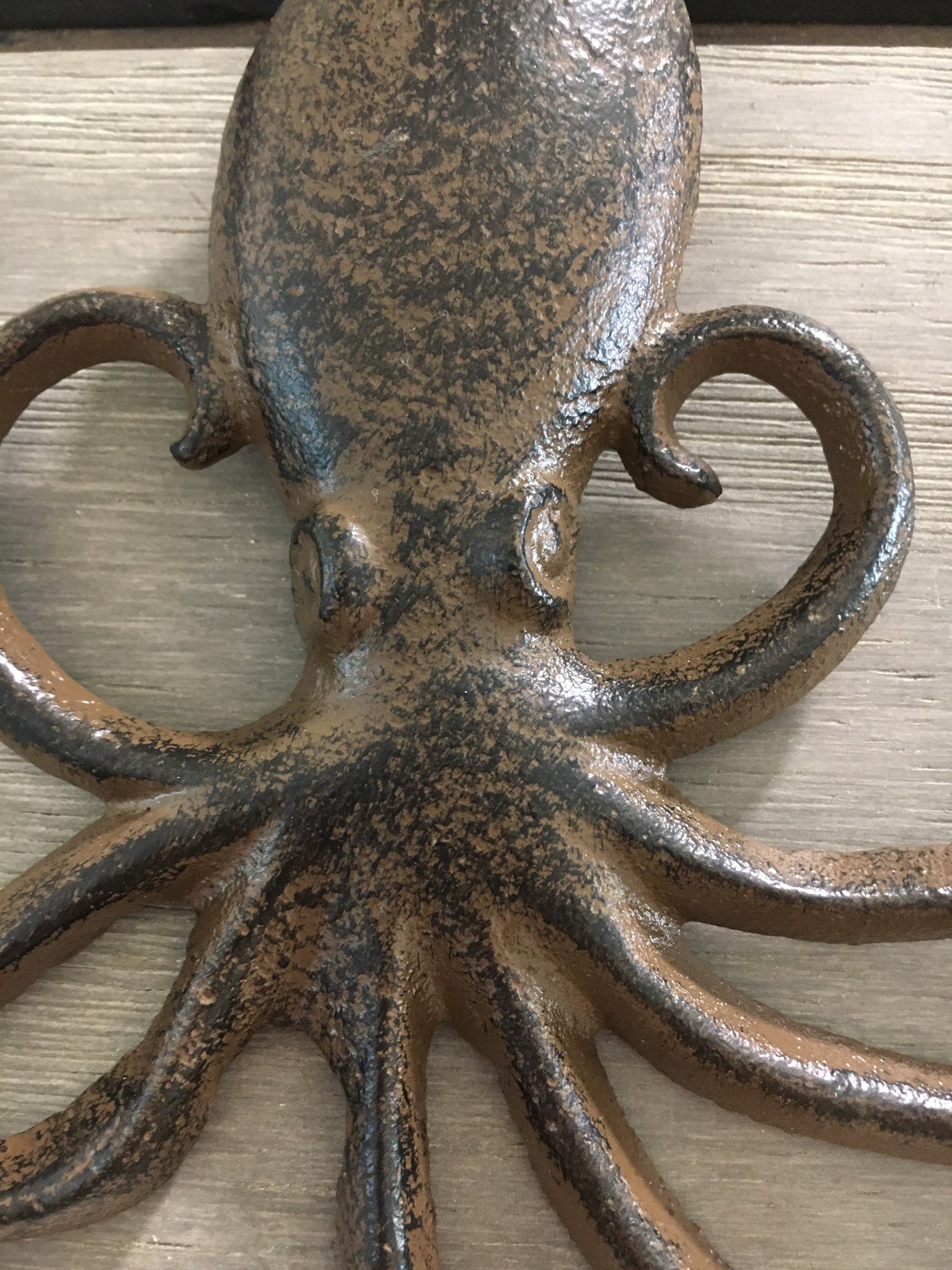 Cast Iron Octopus Wall Hook, Bedroom Wall Hanger, Coatroom Organizer, –  Florida Shells And More