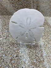 Load image into Gallery viewer, Plastic Easel - Stands for Sea Shells - Stand for Sand Dollars, Starfish, Abalone, Scallops, Mineral Slices - FREE SHIPPING!
