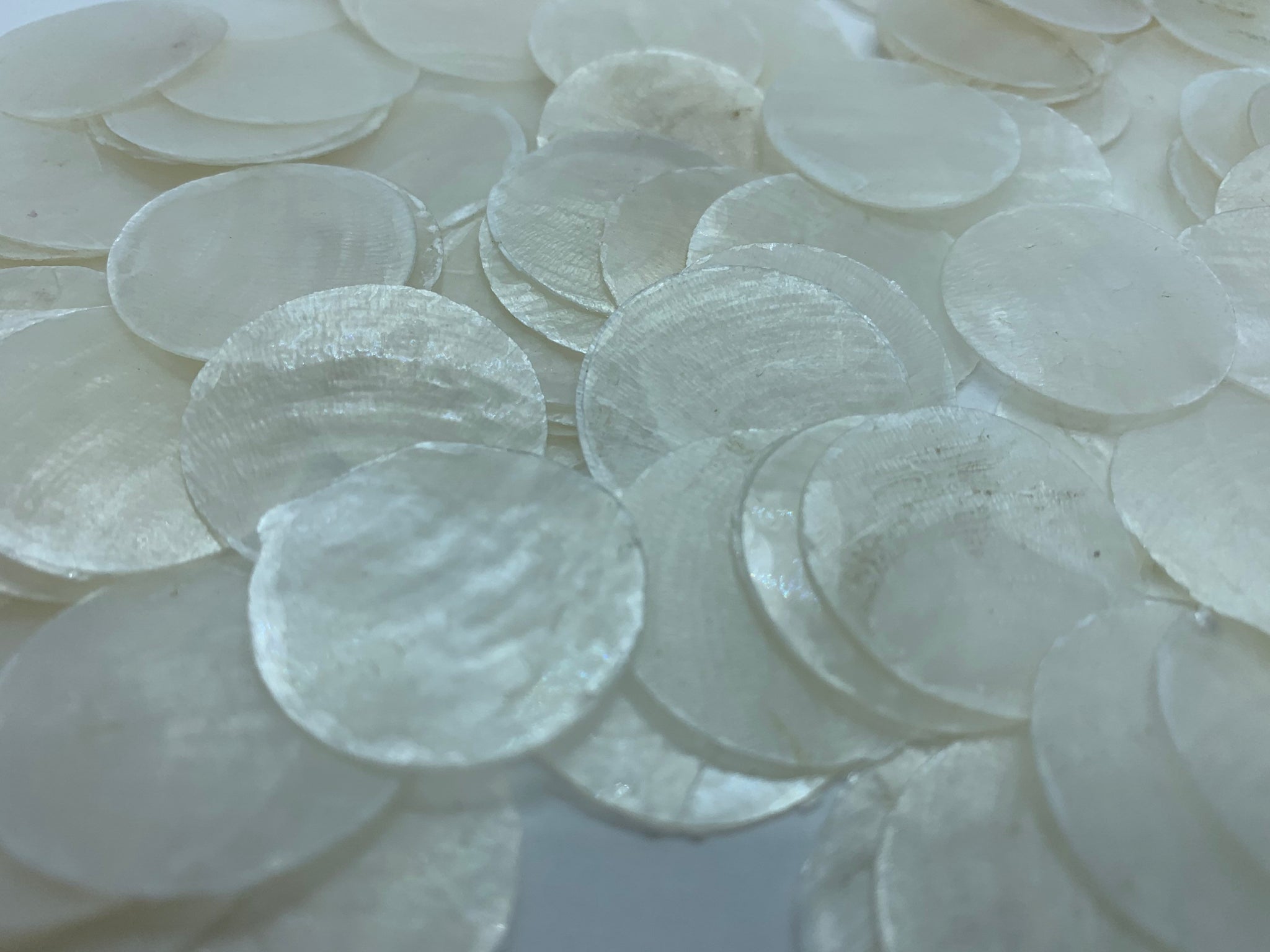  PEPPERLONELY 20 PC Round Natural Capiz Sea Shells, 2 Inch :  Home & Kitchen