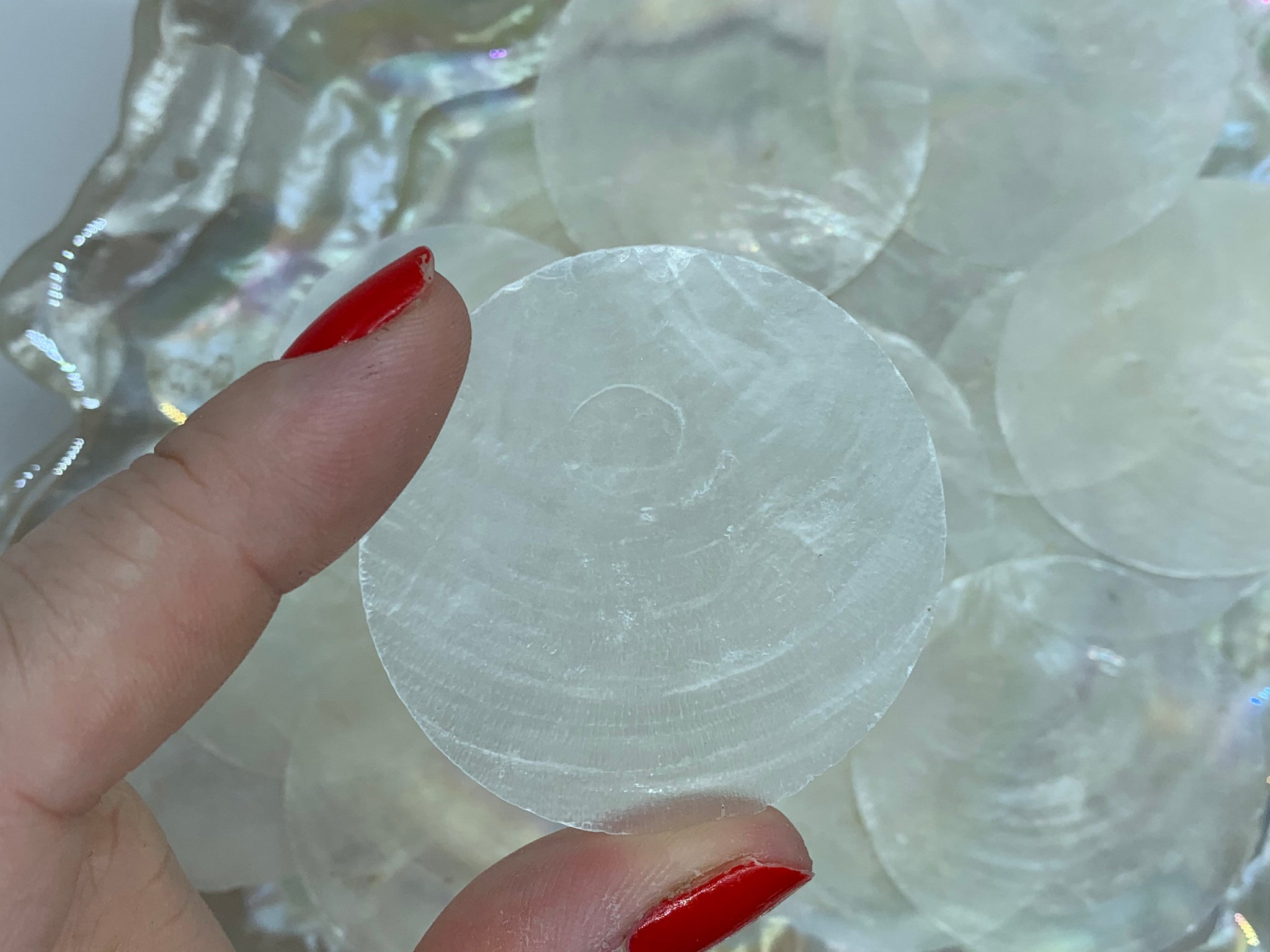 Capiz Shells Round 2 - Flat shells - Natural Cream Capiz - Beach Wedd –  Florida Shells And More