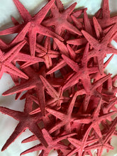 Load image into Gallery viewer, Red Tiny Starfish-1-1.5&quot; - Starfish - Craft Supplies - Beach Decor - Beach Decor - Small Starfish - Star fish - FREE SHIPPING!
