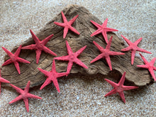 Load image into Gallery viewer, Red Tiny Starfish-1-1.5&quot; - Starfish - Craft Supplies - Beach Decor - Beach Decor - Small Starfish - Star fish - FREE SHIPPING!
