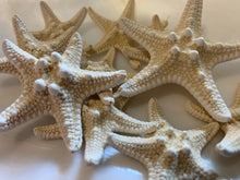 Load image into Gallery viewer, Small Knobby Starfish White 1&quot;-2&quot; - Bulk Starfish - Beach Wedding Decor - Seashell Crafts - Seashells - Starfish Decor - FREE SHIPPING!
