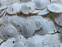Load image into Gallery viewer, Small Sand Dollars 3/4&quot;-1” - Sand Dollar - Craft Supply - Beach Wedding Favors - Wedding Decor - Bulk - Seashell - Gift - FREE SHIPPING!
