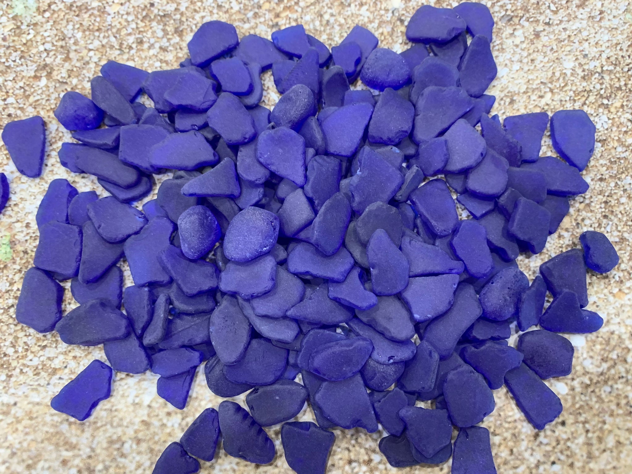 Large Cobalt Blue Sea Glass Frosty Sea Glass Tide Tumbled Beach Glass –  Florida Shells And More