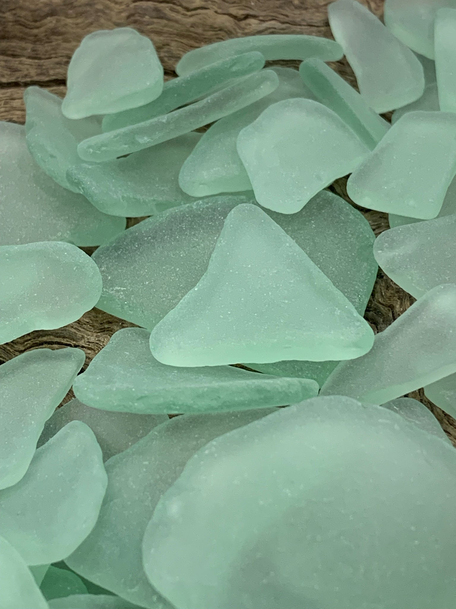 Sea Foam Green Sea Glass Frosty Sea Glass Real Tide Tumbled Beach Glas – Florida  Shells And More
